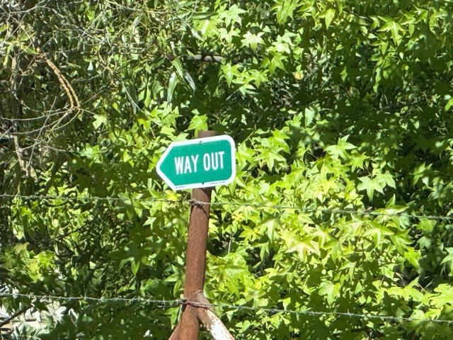 7555 Merced Falls Road, Snelling CA: https://media.crmls.org/mediaz/4528569d-fcdd-4c5e-8147-889ca9ba002c.jpg