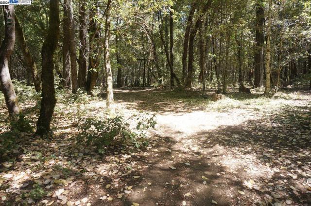 4271 State Hwy 299 Rd, Salyer CA: https://media.crmls.org/mediaz/452915da-1a29-44cc-b03d-161f93db0562.jpg