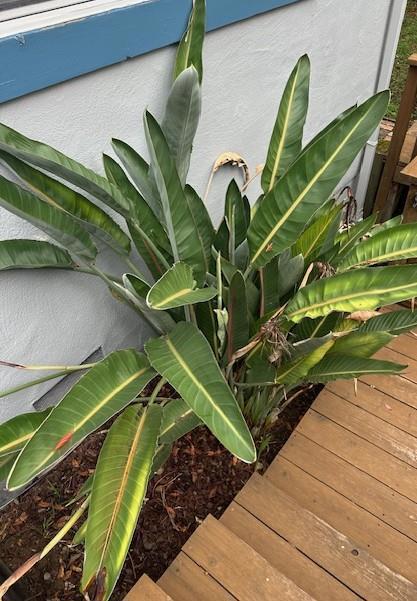 525 Wellington Drive, San Carlos CA: https://media.crmls.org/mediaz/452b8b47-6c20-4e7b-9b1a-4b296b25e16d.jpg