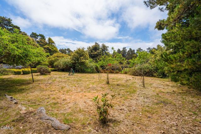 Detail Gallery Image 48 of 52 For 24751 Pine St, Fort Bragg,  CA 95437 - 3 Beds | 3/1 Baths