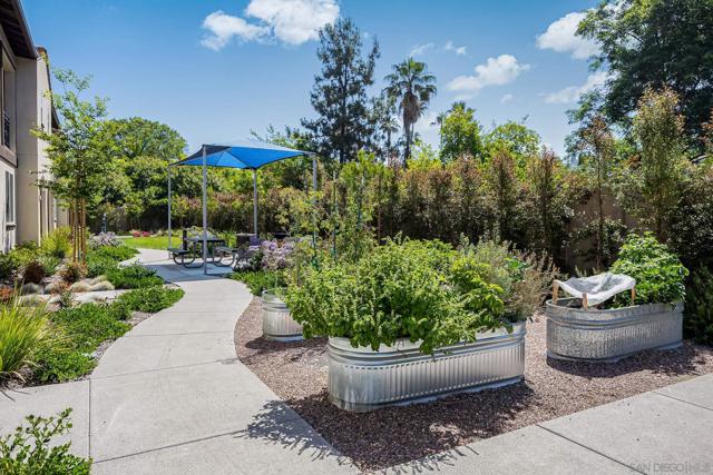 8383 Yellowstone St, Lemon Grove CA: https://media.crmls.org/mediaz/4545c182-796a-4d60-a078-cb3dd066e7f3.jpg