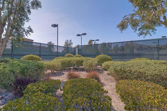 17161 Alva Rd, San Diego CA: https://media.crmls.org/mediaz/4557304f-7efc-4733-9de3-6ac16a4b49e5.jpg