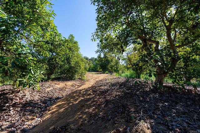 0 Wilt Road, Fallbrook CA: https://media.crmls.org/mediaz/4558615e-0615-4129-9a1a-4527ffe546dc.jpg
