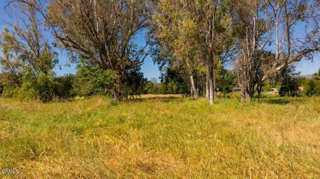 Detail Gallery Image 14 of 30 For 401 S Fulton St, Ojai,  CA 93023 - – Beds | – Baths