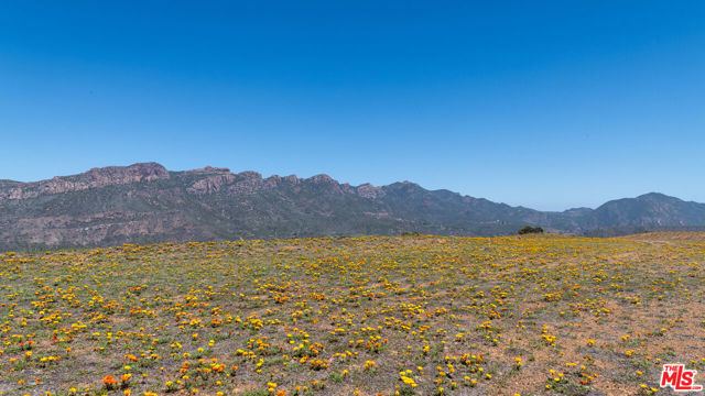 9522 Cotharin Road, Malibu CA: https://media.crmls.org/mediaz/45694b8f-b182-4585-83a9-d416e1e46200.jpg