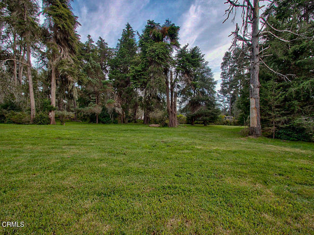 Detail Gallery Image 17 of 26 For 19100 Summers Ln, Fort Bragg,  CA 95437 - – Beds | – Baths