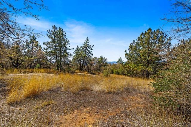 Detail Gallery Image 7 of 40 For 120 Ac Vacant Land Mesa Grande Rd, Santa Ysabel,  CA 92070 - – Beds | – Baths