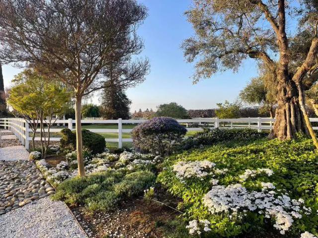 3465 Susie Lane, Gilroy CA: https://media.crmls.org/mediaz/457f257c-8d1d-454a-8648-9b88ec69594c.jpg