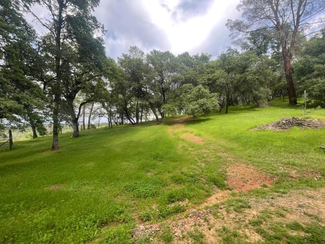 0 Avacado Road, Oroville CA: https://media.crmls.org/mediaz/458b658c-2263-4bb1-a9e4-548dc631ef85.jpg