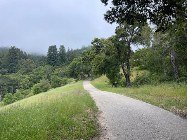 450 Hawk Ridge Road, Boulder Creek CA: https://media.crmls.org/mediaz/458c294a-e86a-44bd-84dc-109a51764d35.jpg