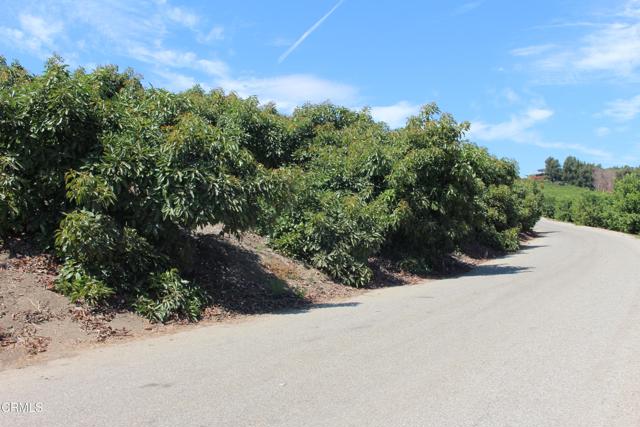 Detail Gallery Image 66 of 72 For 6150 Baja Vista Dr, Somis,  CA 93066 - 7 Beds | 5/2 Baths