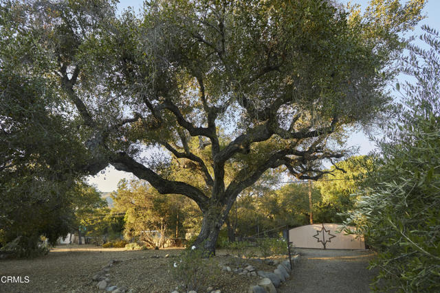 3450 Thacher Road, Ojai CA: https://media.crmls.org/mediaz/458f338f-4d25-4a24-a84f-53fa016fc2e4.jpg