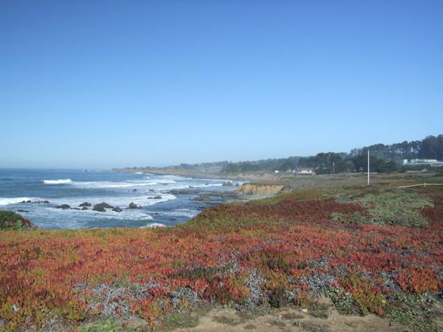 10247 Cabrillo Highway, Pescadero CA: https://media.crmls.org/mediaz/459401ad-56e0-4b1f-b048-867263ff26a1.jpg