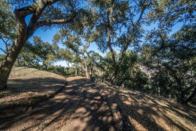17114 Cachagua Road, Carmel Valley CA: https://media.crmls.org/mediaz/45a30302-4269-4106-961c-6a3105276d5f.jpg