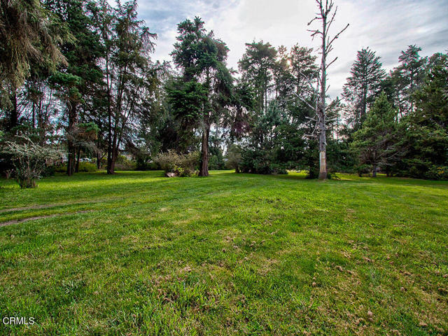 Detail Gallery Image 5 of 26 For 19100 Summers Ln, Fort Bragg,  CA 95437 - – Beds | – Baths