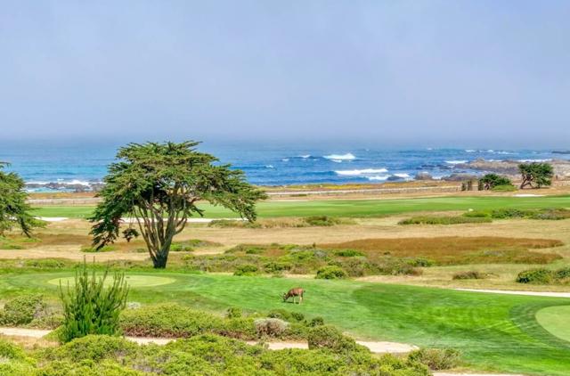 1051 Marcheta Lane, Pebble Beach CA: https://media.crmls.org/mediaz/45b85c45-6f1d-4882-93de-24158407a171.jpg