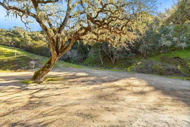 5 El Vanada Road, Redwood City CA: https://media.crmls.org/mediaz/45bd055a-4e25-4669-8729-5dea49895ae8.jpg
