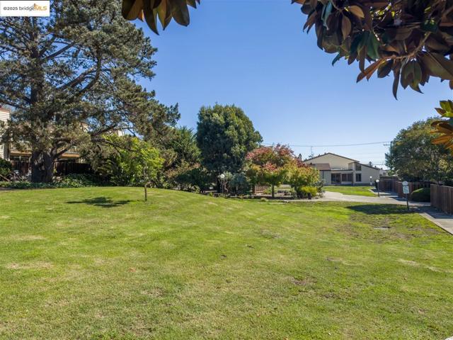 1130 Richmond ST, El Cerrito CA: https://media.crmls.org/mediaz/45c4bc4c-1e03-4652-a3f8-70c7b5e4458f.jpg