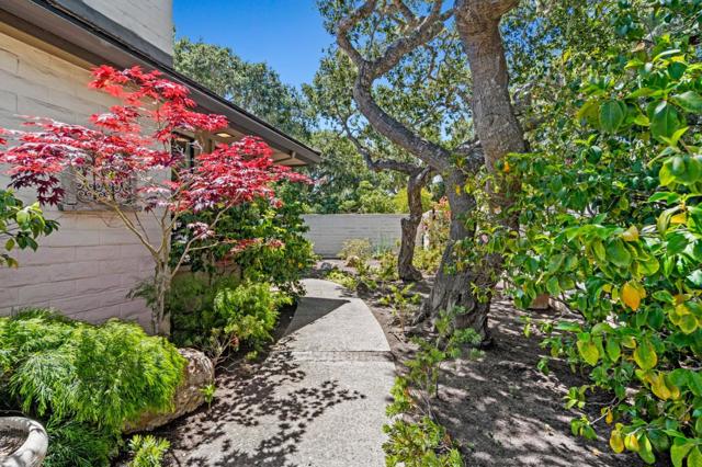 111 Littlefield Road, Monterey CA: https://media.crmls.org/mediaz/45d4622b-516a-48c0-92be-6190fdaa6f49.jpg