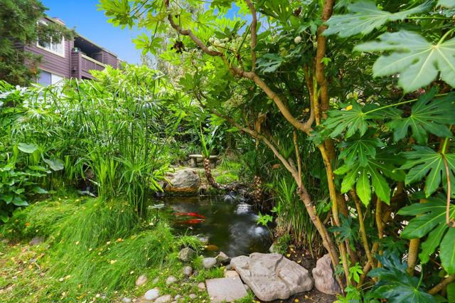 850 Catkin Court, San Jose CA: https://media.crmls.org/mediaz/45d4dcc1-c2e9-4306-8239-487357a2c546.jpg