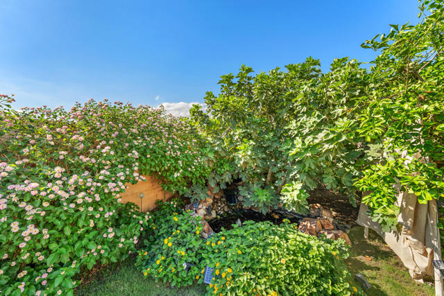 29613 Calle Tampico, Cathedral City CA: https://media.crmls.org/mediaz/45d7c24e-1cf1-48b1-a669-ce20c08b78ae.jpg