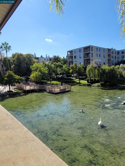 310 N Civic Dr., Walnut Creek CA: https://media.crmls.org/mediaz/45dbfb82-6b14-469d-9129-9d231adfc372.jpg