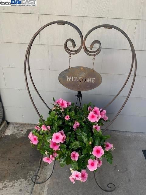 37 Clipper Drive, Alameda CA: https://media.crmls.org/mediaz/45dd4dca-19e1-4a4b-858f-aed16fcffe09.jpg