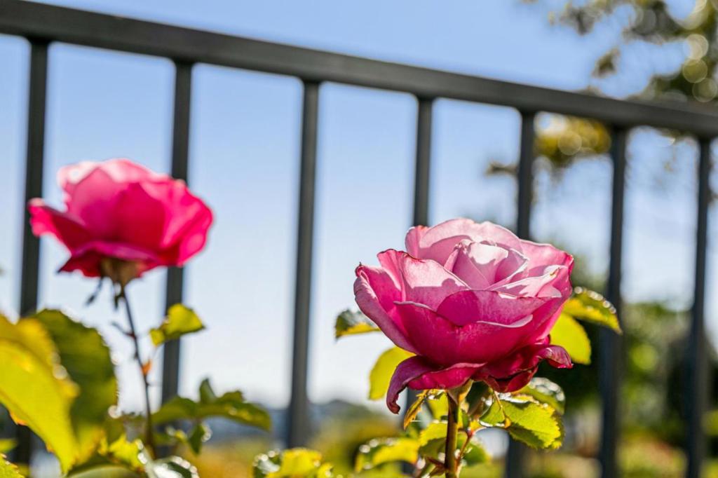 https://media.crmls.org/mediaz/45e19b2a-d527-4c17-839a-0b66f171515d.jpg?preset=X-Large
