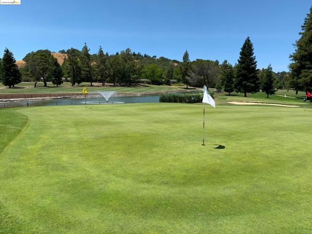 1910 Skycrest Dr, Walnut Creek CA: https://media.crmls.org/mediaz/45ed5f4f-dc27-4d2f-bb31-6d80eead5f2f.jpg