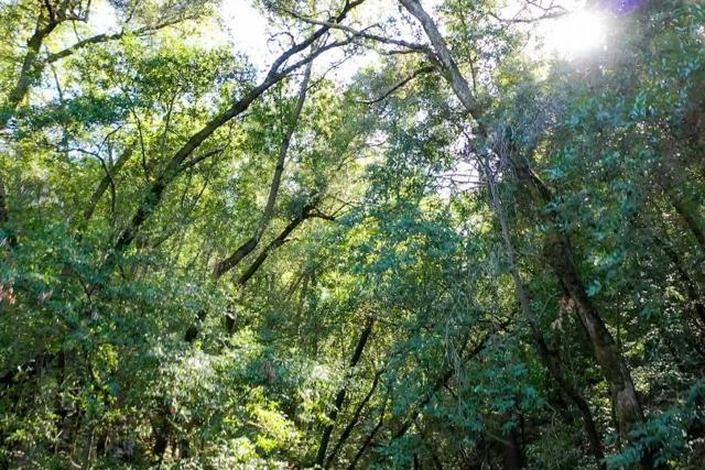 15910 Wildcat Ridge, Saratoga CA: https://media.crmls.org/mediaz/45f646c7-a227-47d0-9a22-4f9d7b141b3c.jpg