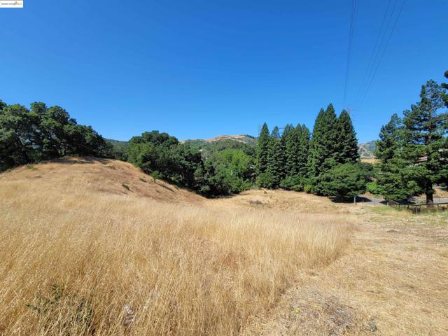 40 Hilldale Ct, Orinda CA: https://media.crmls.org/mediaz/46004596-0ee0-4e5e-8338-47328de9e11a.jpg