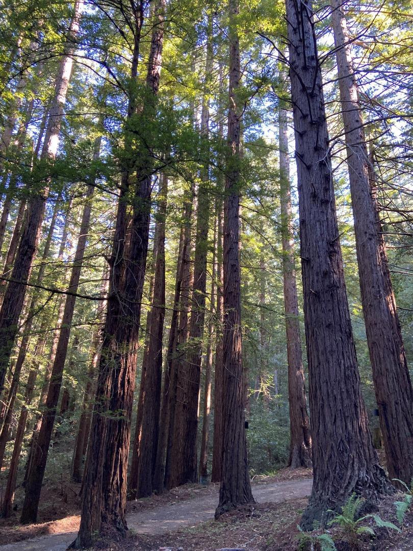 155 Native Sons Road