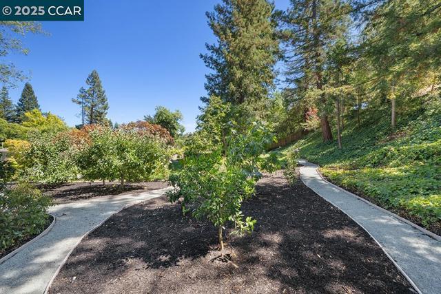 4 Harold Dr, Moraga CA: https://media.crmls.org/mediaz/460605fb-8817-47ea-98de-7a7a3365af74.jpg