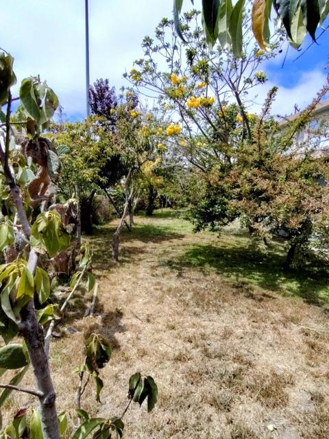 230 Paloma Avenue, Salinas CA: https://media.crmls.org/mediaz/46081cbd-5c46-4cc2-b9c7-c47372c37f23.jpg