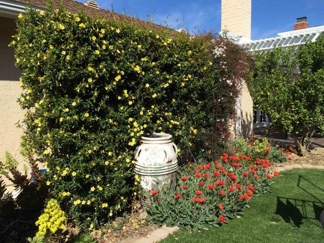 2953 Courser Ave, San Diego CA: https://media.crmls.org/mediaz/460dfc72-cbf0-4c34-8099-d679d954aedf.jpg