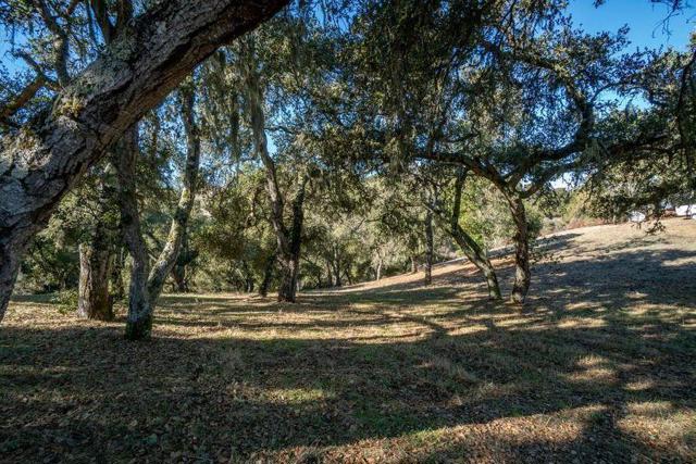 17114 Cachagua Road, Carmel Valley CA: https://media.crmls.org/mediaz/4611874e-8007-428d-b8db-5de0cc0b04ad.jpg