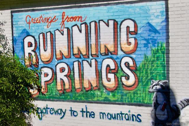 MLS #250033294SD image #29