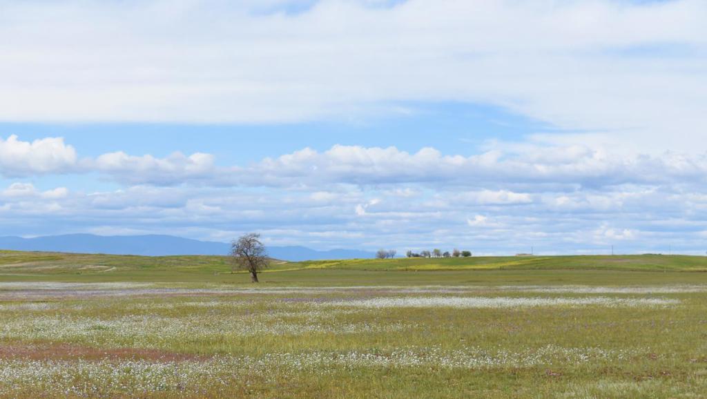 0 County Road 33, Artois, CA 95913