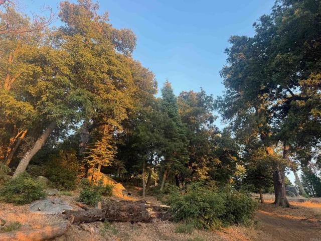 Detail Gallery Image 23 of 37 For 10 Acres Greenfield Way, Palomar Mountain,  CA 92060 - – Beds | – Baths