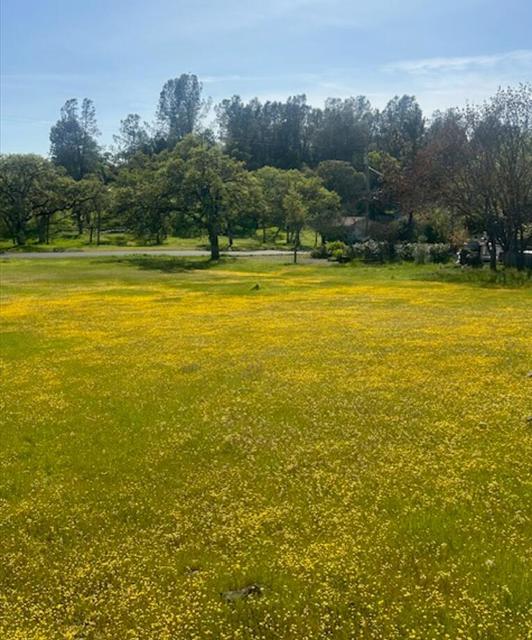 19630 Donkey Hill Road, Hidden Valley Lake CA: https://media.crmls.org/mediaz/4625a9b2-2631-4e3e-ac30-0b1ff3f15bc4.jpg
