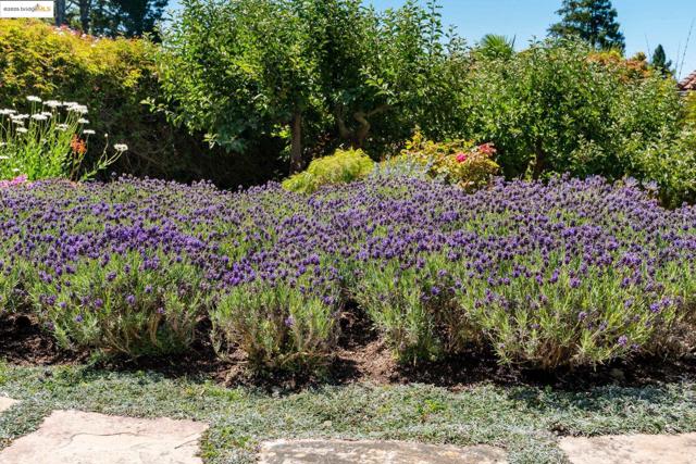 Image 47 of 57 For 1016 Grizzly Peak Blvd