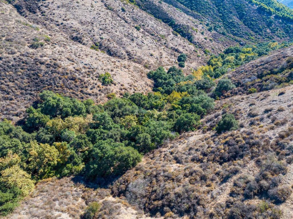 MLS #250022588SD img 14