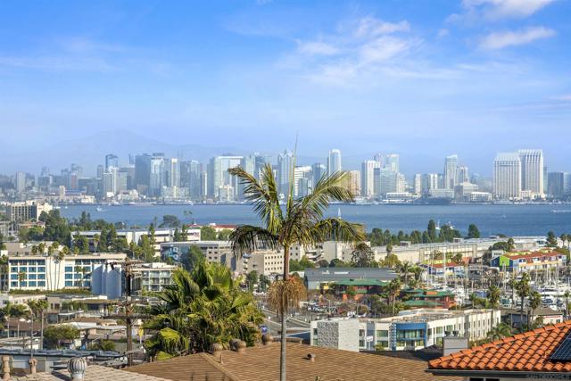 1307 Clove St, San Diego CA: https://media.crmls.org/mediaz/4634b135-1398-4b81-a07f-a565c6b6a35c.jpg
