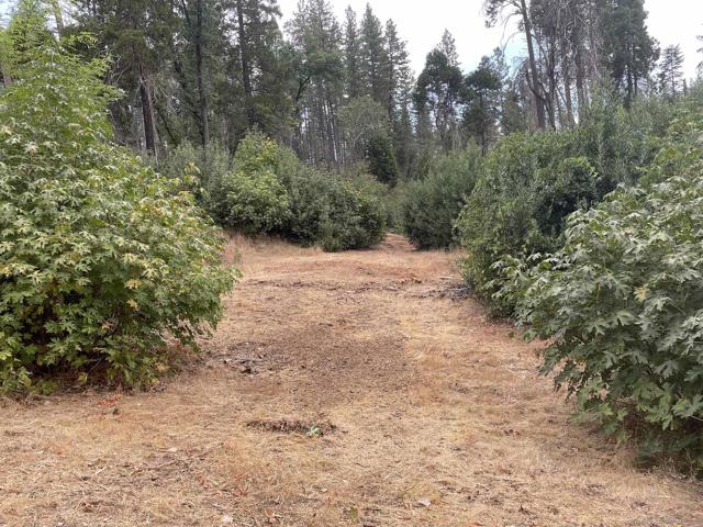 5930 Fickett Ln, Paradise CA: https://media.crmls.org/mediaz/4638f323-8af6-4595-92c8-b2bfc580a98a.jpg