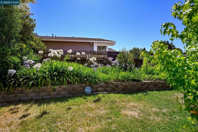5040 Murchio Dr, Concord CA: https://media.crmls.org/mediaz/463f7d1e-eff8-47ca-8367-ed2e0a0cb119.jpg