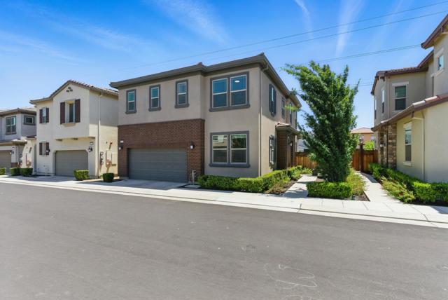 1122 S Morning Glory Drive, Mountain House CA: https://media.crmls.org/mediaz/4647188f-fb46-4f6e-a179-fc47c5bae98d.jpg
