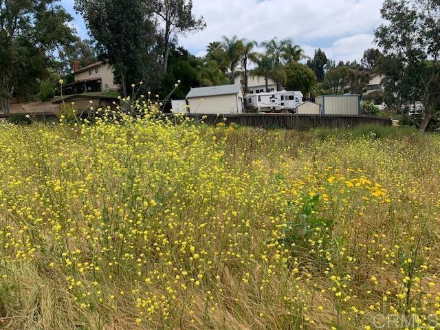 0 Rose Ranch Rd./Collado Ln, San Marcos, California 92069, ,Residential Land,For Sale,Rose Ranch Rd./Collado Ln,NDP2404487