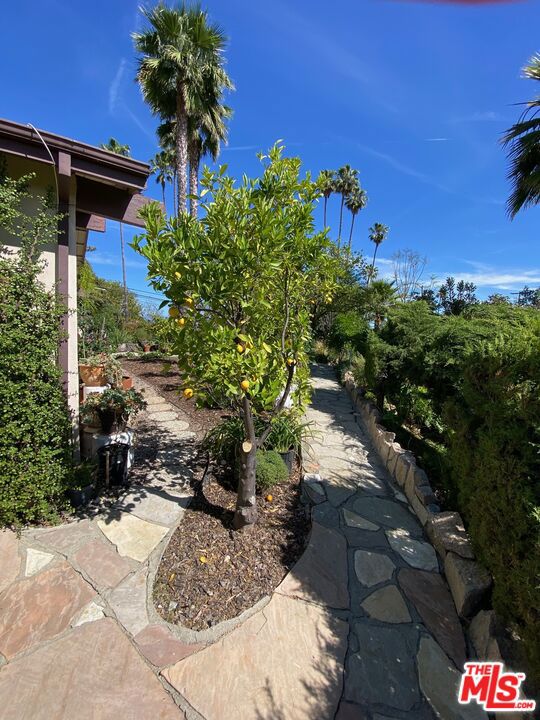 16840 Oak View Drive, Encino CA: https://media.crmls.org/mediaz/464a2d96-4e52-4dc1-a087-d0b230b7ebf3.jpg