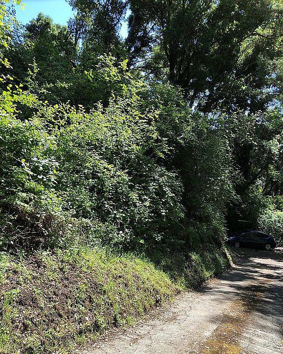 0 Farr Avenue, Aptos CA: https://media.crmls.org/mediaz/464fcc49-ef42-4384-8b9f-2a07f232fc7c.jpg