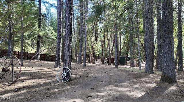 1605 Fitch Road, Laytonville CA: https://media.crmls.org/mediaz/46553b0f-fef1-4639-9c86-be27c7336221.jpg